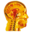 vonhagens-plastination.com icon