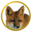 vos.net icon