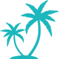 voyage-martinique.fr icon