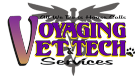 voyagingvts.com icon