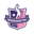 vrouwenvoetbalnieuws.nl icon