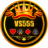 vs555.biz icon