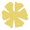 vsfnyc.com icon