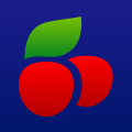 vulkan-acgbj.xyz icon