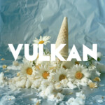 vulkanmagazine.com icon