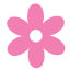 vulvodynia.com icon