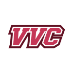 vvcfoundation.com icon