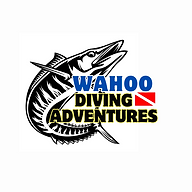 wahoodivingcenter.com icon