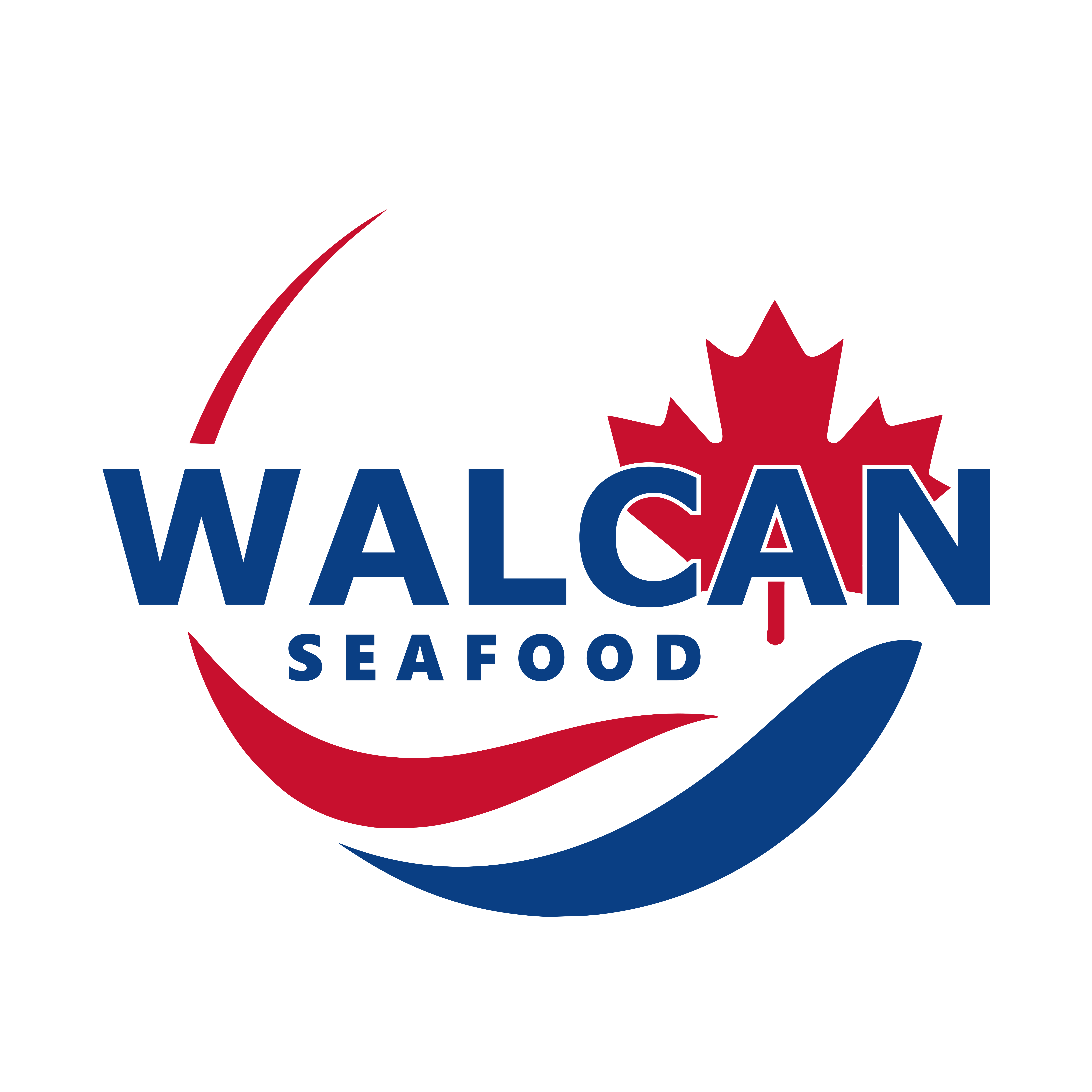 walcan.com icon