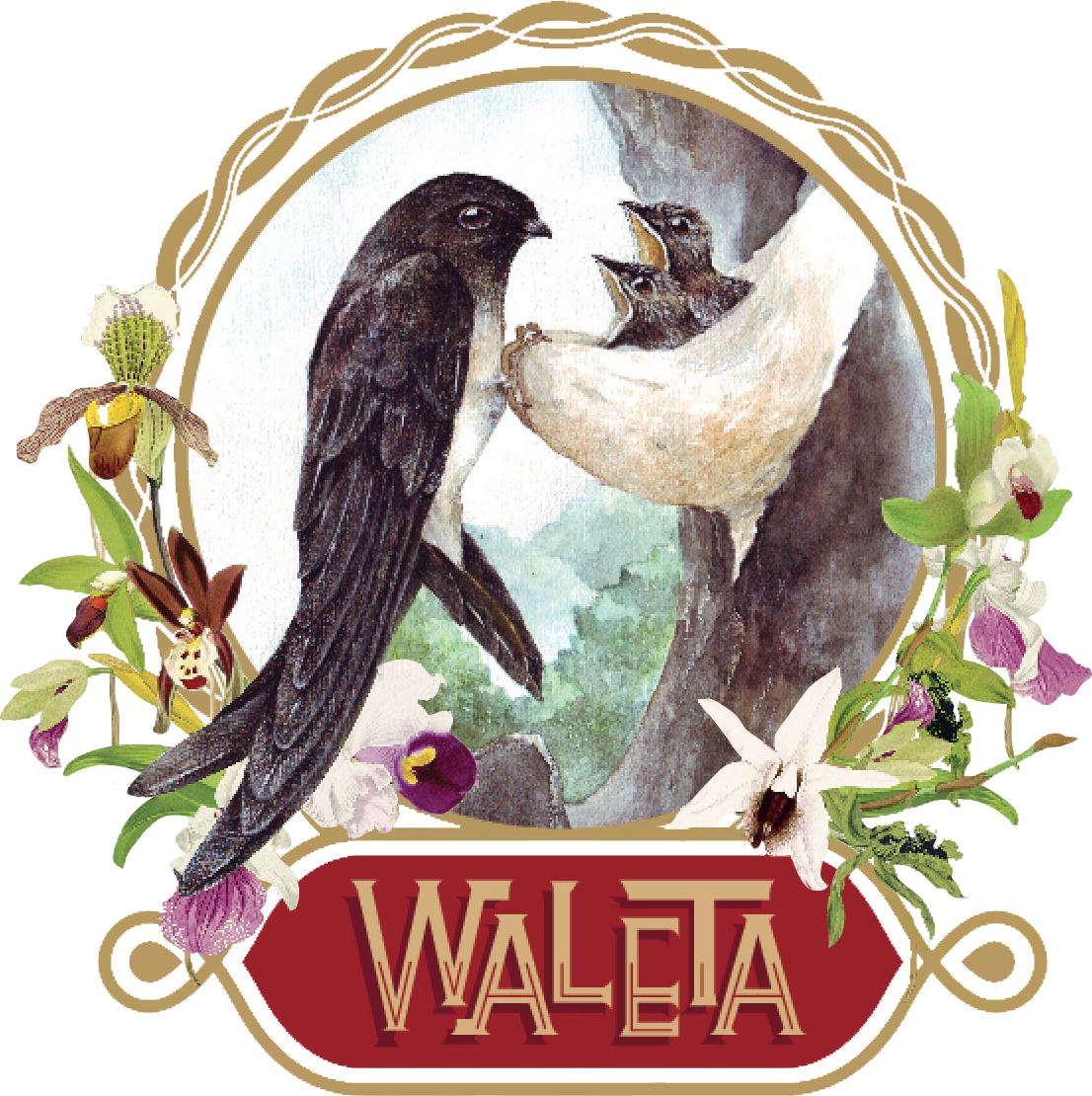 waleta019.com icon