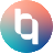 wallet-dev.blanq.ai favicon