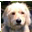 walterwebstar.com icon