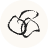 wanakapartners.com icon