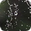 wandband.info icon