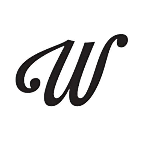 wanderwisdom.com icon