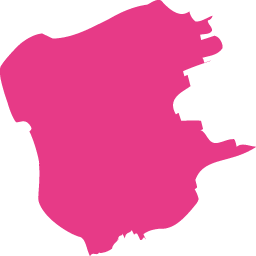 wangaz.com icon