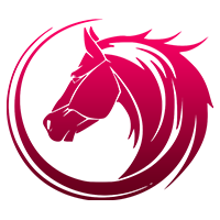 warnahk.com icon