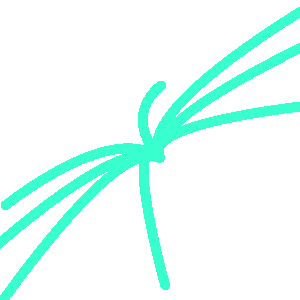 warpcs.org icon