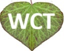 warwickshirecounsellingtraining.uk icon