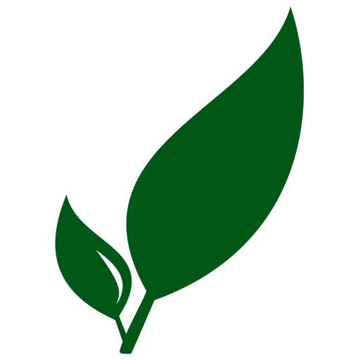 waspaper.com icon