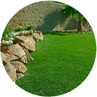 waterlessgrass.com icon
