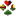 watten.org icon