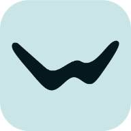 wave-electronics.com icon