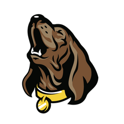 waynesvillehollers.com icon