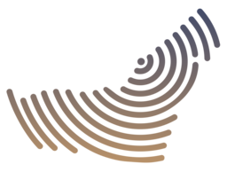 wcems.ae icon