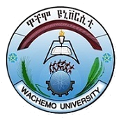 wcu.edu.et icon