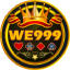 we999agent.com icon