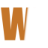 web-fuse.nl icon