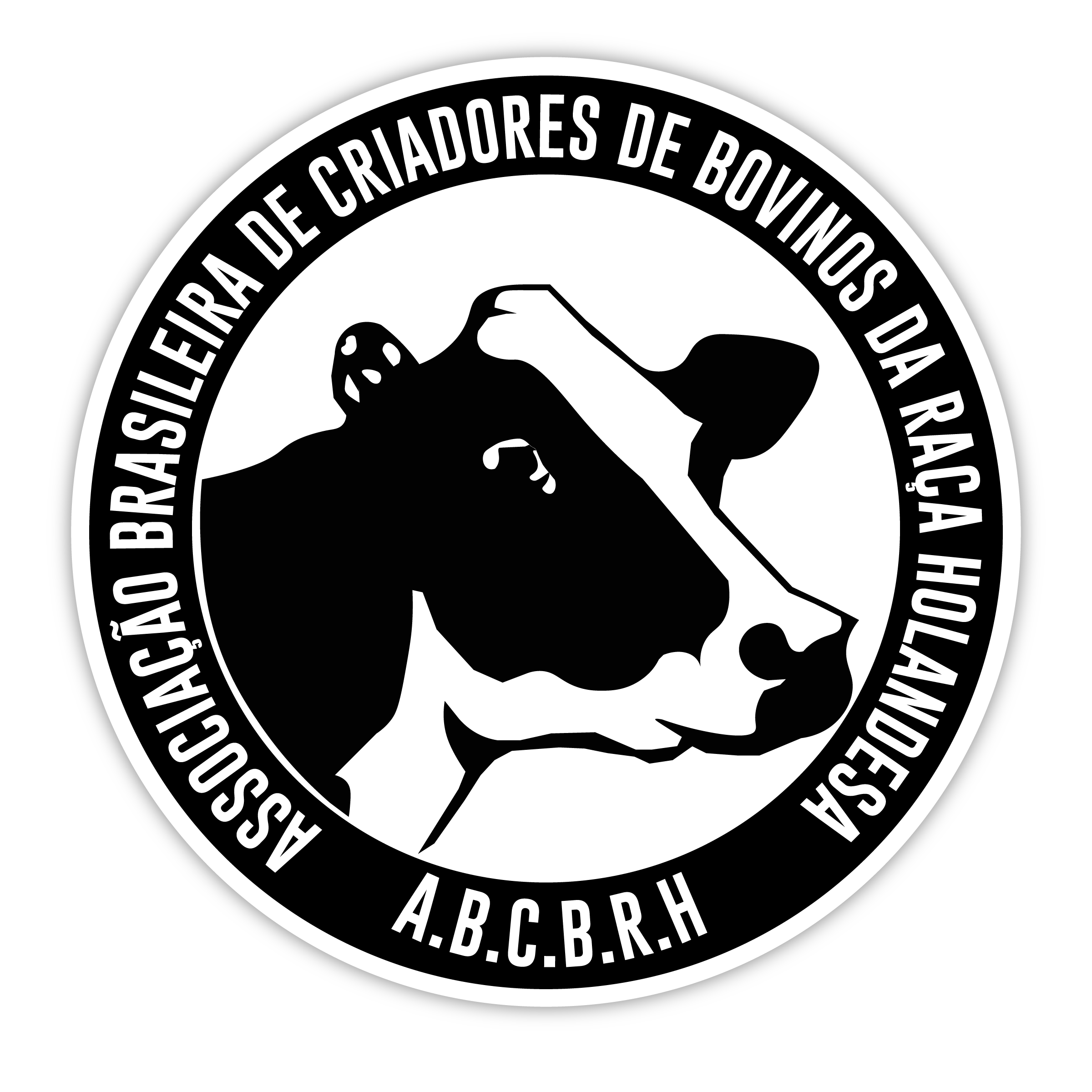 web-holandes.com icon