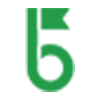 webcastle.com icon