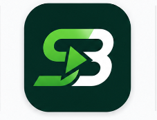 webdissertation.com icon
