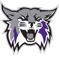 weberstatesports.com icon