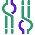 webforgepro.net icon