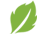 webmintindia.com icon