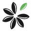 webmodulservice.de icon