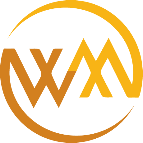 webmoi.vn icon