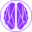 webrain.com.br icon