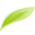 websepanta.com icon