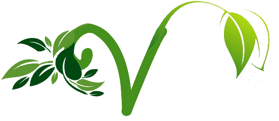 webshop.veggie4u.nl icon