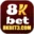 websitesenmarketing.nl icon