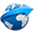 websource.fr icon