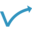 webvooruit.nl icon