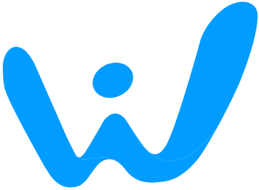 webwisewizard.in icon