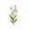 weddingfairsnortheast.com icon
