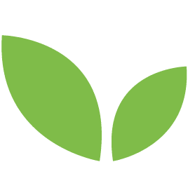 weedgetphuket.com icon