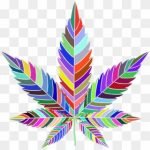 weedtravelersguide.com icon